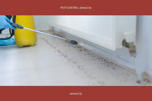 PEST CONTROL James City